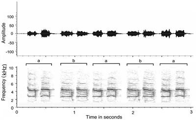 Evolution of human language: duetting as part of prosociality and cognition